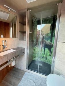 een badkamer met een douche en een glazen deur bij Schlafen im Weinfass in Ipsheim