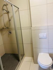 a bathroom with a toilet and a shower at DMN City at Merensky Apartment in Windhoek