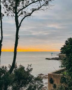 une vue sur une étendue d'eau avec un arbre dans l'établissement le chalet de laura, à Pornic