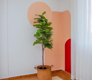 a plant in a pot in a room at The Notch in Dar es Salaam