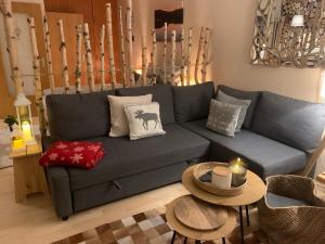 Studio Hase Saig في زايك: غرفة معيشة مع أريكة رمادية مع الوسائد والطاولات