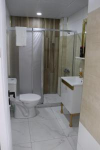a bathroom with a toilet and a shower and a sink at loftpalacesuit in Nevsehir