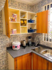 Kuhinja oz. manjša kuhinja v nastanitvi Rabban Apartment