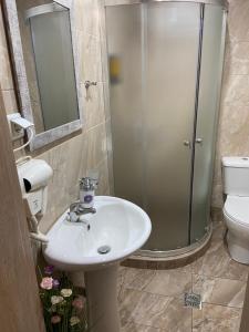 La salle de bains est pourvue d'un lavabo, d'une douche et de toilettes. dans l'établissement Ifos Apartments, à Thessalonique