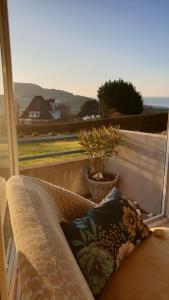 a window seat with a pillow and a potted plant at Rez de jardin vue mer Costa Bella in Criel-sur-Mer +31 photos