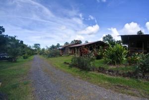 una strada sterrata vicino a una casa su un campo di Oski Lodge, Rain Forest Rincón de la Vieja a Upala