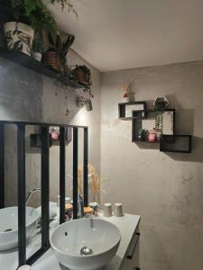 Gite de la tannerie 3 في دينان: حمام مع حوض أبيض ومرآة