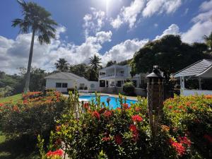 una vista de una casa y una piscina con flores en All Nations Guest House, en Port Antonio