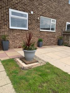 un edificio in mattoni con tre piante in vaso su un patio di Adsa Guesthouse a Seacroft