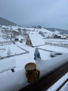 Şarul DorneiPensiunea Casa Alex的相册照片