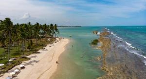 an aerial view of a beach with palm trees and the ocean at Flat Carneiros in Tamandaré