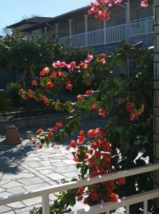 um jardim com flores vermelhas numa cerca em Bella Terra Nature Living em Asprovalta