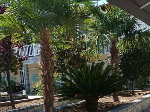 Um jardim em Bella Terra Nature Living