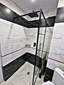 a bathroom with a walk in shower and a toilet at 1 bedroom luxury apartment Milena -free parking in Pamporovo