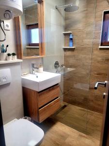 a bathroom with a sink and a shower at Zlatna Jabuka apartman in Prijepolje