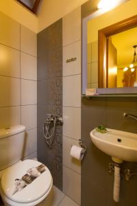 bagno con servizi igienici, lavandino e specchio di Sokaki House a Kalivianí