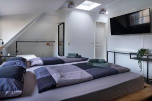 two beds in a room with a tv on the wall at Privates ruhiges Haus im Herzen der Neustadt in Dresden