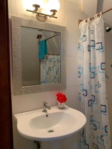 a bathroom with a sink and a mirror and a shower curtain at Stunning Loft 2 Floor Unit with Balcony in Contadora