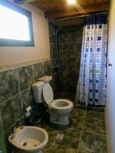 uma casa de banho com um WC e um lavatório em La casa de la abuela Cabaña em El Bolsón