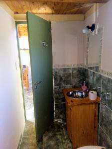 a bathroom with a sink and a green door at La casa de la abuela Cabaña in El Bolsón