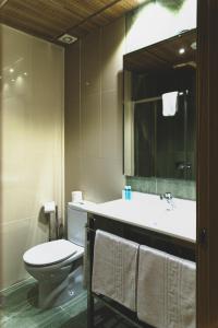 W łazience znajduje się toaleta, umywalka i lustro. w obiekcie HOSTAL NOGUERAS 3 w mieście Toledo