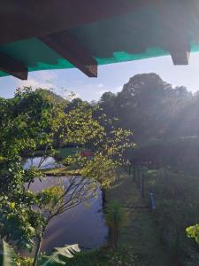 a view of a river with trees in the background at Pousada Beija flor in Extrema