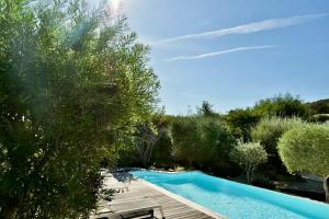 a swimming pool in a garden with trees at Concadoro in Porto-Vecchio