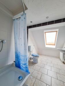 a bathroom with a blue shower curtain and a toilet at Pension Zum Holzwurm Wittenberge in Wittenberge