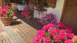 Ogród w obiekcie Excepcional Casa El Olivo
