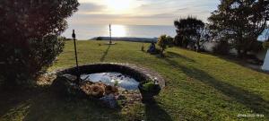 a garden with a pond in the grass next to the ocean at A Guaira: fantástica alojamiento con finca sobre el mar in Oia