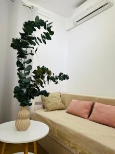 salon z kanapą i stołem z rośliną w obiekcie LA TERRAZA DE LAUREL Aire acondicionado Insonorizado w mieście Logroño