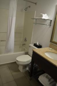 uma casa de banho com um WC, uma banheira e um lavatório. em Country Inn & Suites by Radisson, Frederick, MD em Frederick
