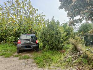 a car parked on a dirt road next to trees at Un bel appartement rez jardin parking gratuit in Vence