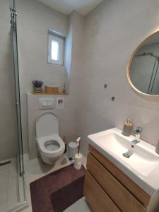 bagno con servizi igienici, lavandino e specchio di Apartmani Šišarka 1 a Kopaonik