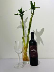 una botella de vino junto a una copa y una planta en LA TERRAZA DE LAUREL Aire acondicionado Insonorizado, en Logroño