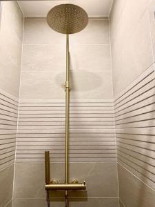 a shower in a bathroom with a light on the wall at La petite Chambord aux portes du château in Mont-près-Chambord