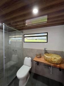 a bathroom with a toilet and a shower and a sink at Santa Helena in Chinácota
