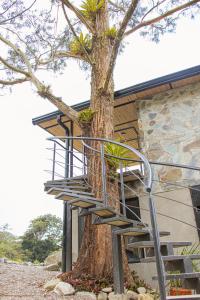 a tree with a metal staircase next to a building at Santa Helena in Chinácota