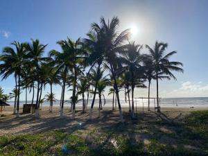 un grupo de palmeras en la playa en Casa de Praia Refúgio, en Aracaju