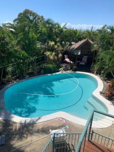 a large blue swimming pool in a resort at Gina‘s Place in Peregian Beach