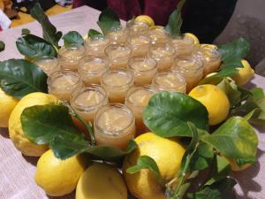 Gallery image of Agriturismo La Collina Verde in Levanto