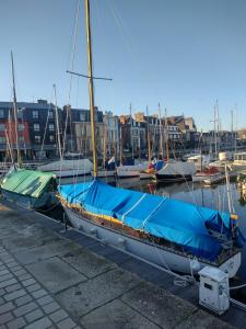 un velero atracado en un puerto deportivo con otros barcos en Paimpol appartement port,gare et commerce a pied en Paimpol