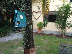 a cat in a blue bird house on a tree at Pousada Sol das Amendoeiras in Saquarema