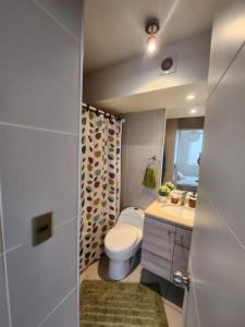 a bathroom with a toilet and a sink at Departamento Concón Vista Montemar II in Concón