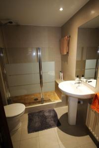 a bathroom with a toilet and a sink and a shower at Alojamiento Adelfas in Madrid