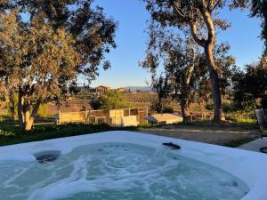a jacuzzi tub with a view of a yard at Temecula Rejuvenation in Temecula