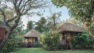 two cottages with thatched roofs in the trees at Bann Pae Cabana Hotel And Resort in Klaeng
