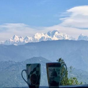 MirikにあるAmaira Resort & Farms - Mirik, West Bengalの山を背景に座ったテーブルの上に座ったカップ2つ