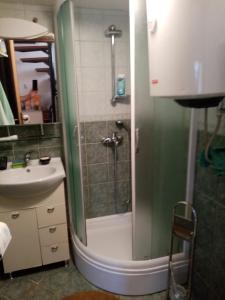 ein Bad mit einer Dusche und einem Waschbecken in der Unterkunft CAPITANO di CHERSO VIP holidays, gourmet & sail experience in Dragozetići