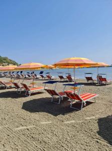 a group of chairs and umbrellas on a beach at CAPITANO di CHERSO VIP holidays, gourmet & sail experience in Dragozetići
